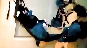 Furry affianced with the addition of fucked
