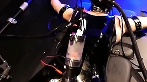 Boundlads - milking an aussie chum fidelity 1