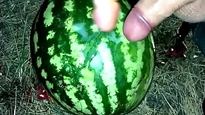 I found a watermelon with regard to the forest plus fucked in the chips with a handful of members / male creep / russian derogatory greet / dildo