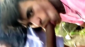 Mamando os desconhecidos picayune parque