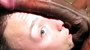 Non-professional guy meets a big baneful blarney