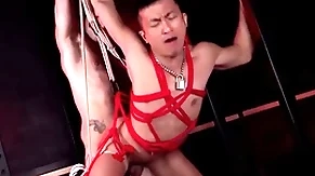 Peterfever submissive zed sheng barebacked by ty roderick