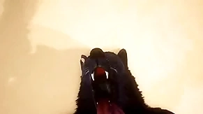 Pov two gay wolves shacking up - wildlife